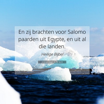 Picture 07 - 2 Kronieken 9:28 NLD - En zij brachten voor Salomo paarden uit Egypte, - Bible Verse Picture