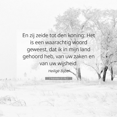 Picture 07 - 2 Kronieken 9:5 NLD - En zij zeide tot den koning: Het is een - Bible Verse Picture