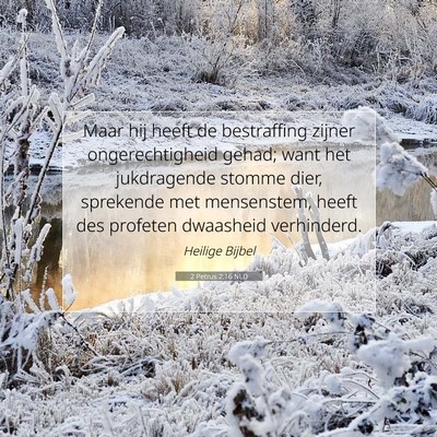 Picture 07 - 2 Petrus 2:16 NLD - Maar hij heeft de bestraffing zijner - Bible Verse Picture