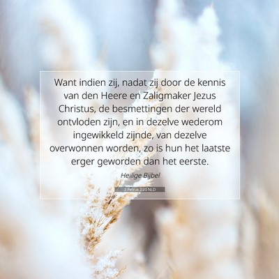 Picture 07 - 2 Petrus 2:20 NLD - Want indien zij, nadat zij door de kennis van den - Bible Verse Picture