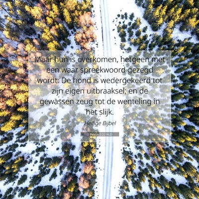 Picture 07 - 2 Petrus 2:22 NLD - Maar hun is overkomen, hetgeen met een waar - Bible Verse Picture