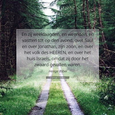 Picture 07 - 2 Samuël 1:12 NLD - En zij weeklaagden, en weenden, en vastten tot op - Bible Verse Picture
