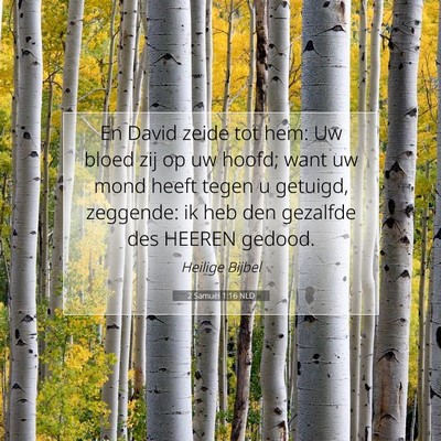 Picture 07 - 2 Samuël 1:16 NLD - En David zeide tot hem: Uw bloed zij op uw hoofd; - Bible Verse Picture