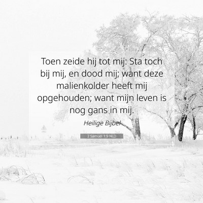 Picture 07 - 2 Samuël 1:9 NLD - Toen zeide hij tot mij: Sta toch bij mij, en dood - Bible Verse Picture