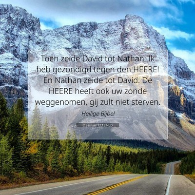 Picture 07 - 2 Samuël 12:13 NLD - Toen zeide David tot Nathan: Ik heb gezondigd - Bible Verse Picture