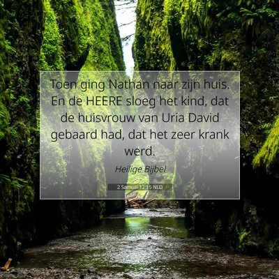 Picture 07 - 2 Samuël 12:15 NLD - Toen ging Nathan naar zijn huis. En de HEERE - Bible Verse Picture