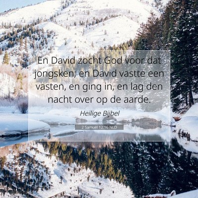 Picture 07 - 2 Samuël 12:16 NLD - En David zocht God voor dat jongsken; en David - Bible Verse Picture