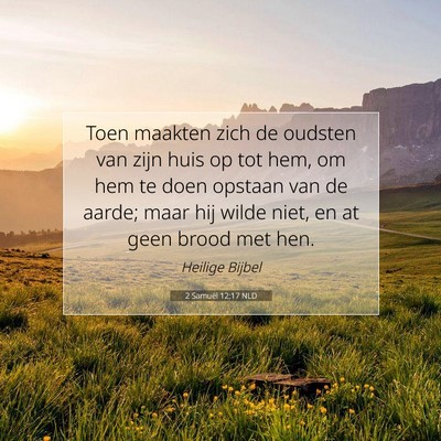 Picture 07 - 2 Samuël 12:17 NLD - Toen maakten zich de oudsten van zijn huis op tot - Bible Verse Picture