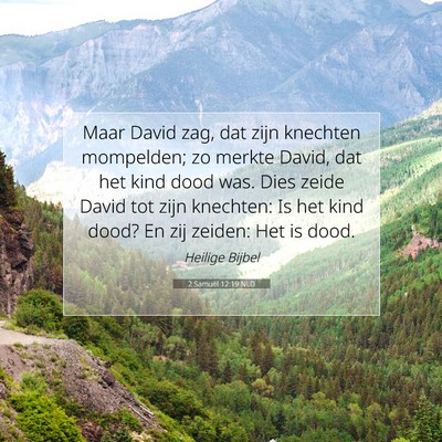 Picture 07 - 2 Samuël 12:19 NLD - Maar David zag, dat zijn knechten mompelden; zo - Bible Verse Picture