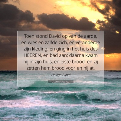 Picture 07 - 2 Samuël 12:20 NLD - Toen stond David op van de aarde, en wies en - Bible Verse Picture