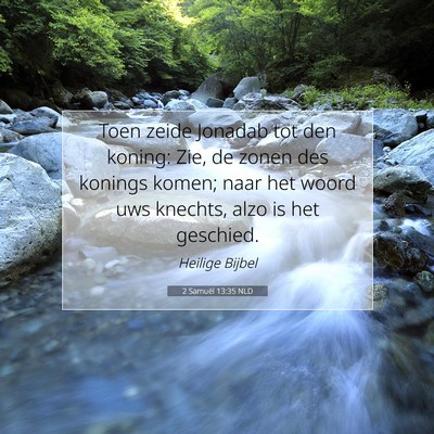 Picture 07 - 2 Samuël 13:35 NLD - Toen zeide Jonadab tot den koning: Zie, de zonen - Bible Verse Picture
