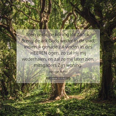 Picture 07 - 2 Samuël 15:25 NLD - Toen zeide de koning tot Zadok: Breng de ark Gods - Bible Verse Picture