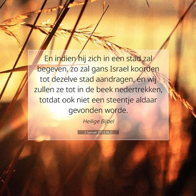 Picture 07 - 2 Samuël 17:13 NLD - En indien hij zich in een stad zal begeven, zo - Bible Verse Picture