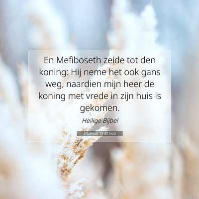 Picture 07 - 2 Samuël 19:30 NLD - En Mefiboseth zeide tot den koning: Hij neme het - Bible Verse Picture