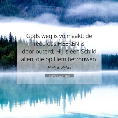 Picture 07 - 2 Samuël 22:31 NLD - Gods weg is volmaakt; de rede des HEEREN is - Bible Verse Picture