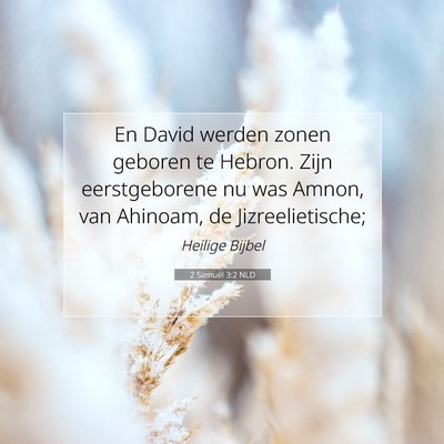 Picture 07 - 2 Samuël 3:2 NLD - En David werden zonen geboren te Hebron. Zijn - Bible Verse Picture