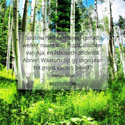 Picture 07 - 2 Samuël 3:7 NLD - Saul nu had een bijwijf gehad, welker naam was - Bible Verse Picture