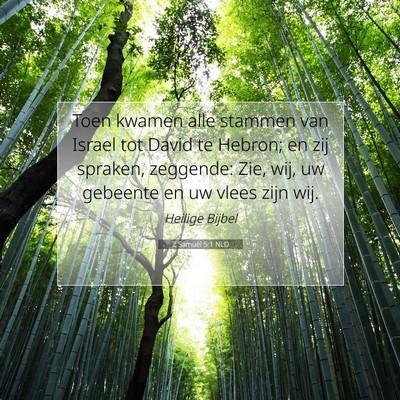 Picture 07 - 2 Samuël 5:1 NLD - Toen kwamen alle stammen van Israel tot David te - Bible Verse Picture