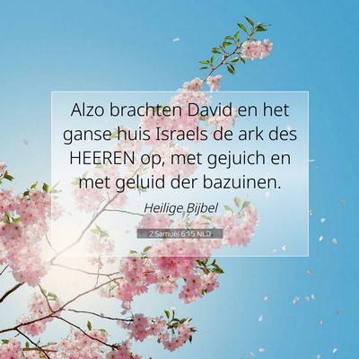 Picture 07 - 2 Samuël 6:15 NLD - Alzo brachten David en het ganse huis Israels de - Bible Verse Picture