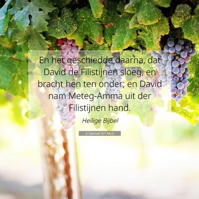 Picture 07 - 2 Samuël 8:1 NLD - En het geschiedde daarna, dat David de - Bible Verse Picture