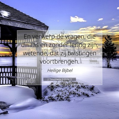 Picture 07 - 2 Timotheüs 2:23 NLD - En verwerp de vragen, die dwaas en zonder lering - Bible Verse Picture