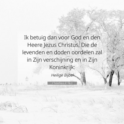Picture 07 - 2 Timotheüs 4:1 NLD - Ik betuig dan voor God en den Heere Jezus - Bible Verse Picture