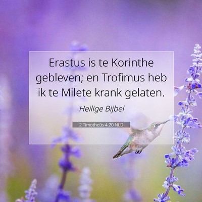 Picture 07 - 2 Timotheüs 4:20 NLD - Erastus is te Korinthe gebleven; en Trofimus heb - Bible Verse Picture