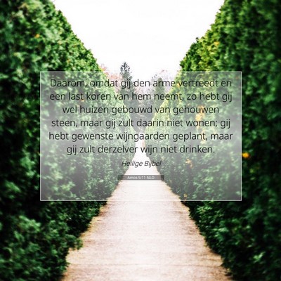 Picture 07 - Amos 5:11 NLD - Daarom, omdat gij den arme vertreedt en een last - Bible Verse Picture