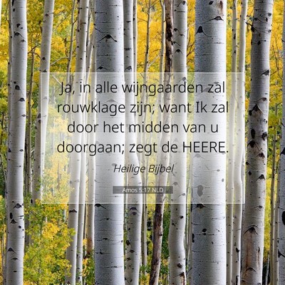 Picture 07 - Amos 5:17 NLD - Ja, in alle wijngaarden zal rouwklage zijn; want - Bible Verse Picture