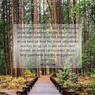 Picture 07 - Amos 7:17 NLD - Daarom zegt de HEERE alzo: Uw vrouw zal in de - Bible Verse Picture