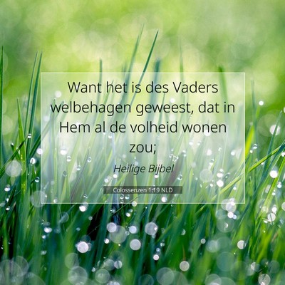 Picture 07 - Colossenzen 1:19 NLD - Want het is des Vaders welbehagen geweest, dat in - Bible Verse Picture