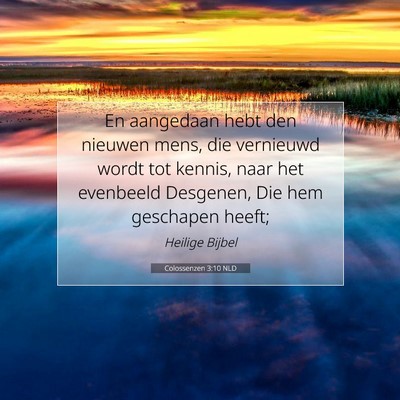 Picture 07 - Colossenzen 3:10 NLD - En aangedaan hebt den nieuwen mens, die vernieuwd - Bible Verse Picture