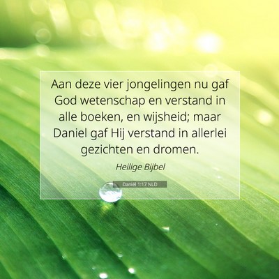 Picture 07 - Daniël 1:17 NLD - Aan deze vier jongelingen nu gaf God wetenschap - Bible Verse Picture