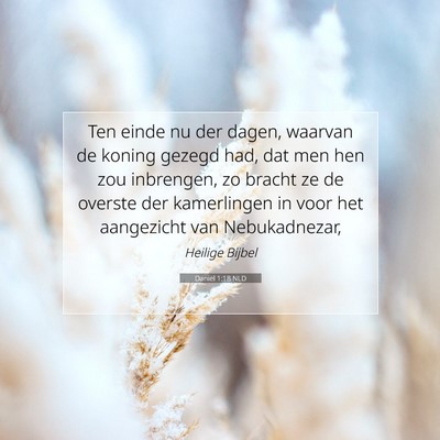 Picture 07 - Daniël 1:18 NLD - Ten einde nu der dagen, waarvan de koning gezegd - Bible Verse Picture
