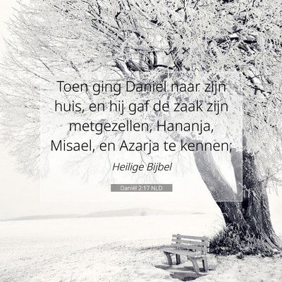 Picture 07 - Daniël 2:17 NLD - Toen ging Daniel naar zijn huis, en hij gaf de - Bible Verse Picture