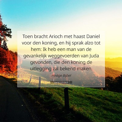 Picture 07 - Daniël 2:25 NLD - Toen bracht Arioch met haast Daniel voor den - Bible Verse Picture