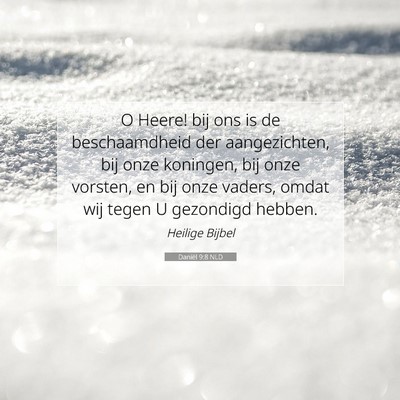 Picture 07 - Daniël 9:8 NLD - O Heere! bij ons is de beschaamdheid der - Bible Verse Picture
