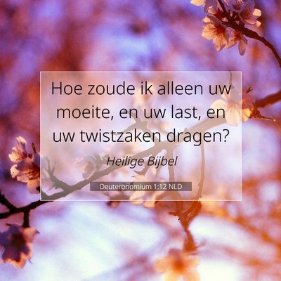 Picture 07 - Deuteronomium 1:12 NLD - Hoe zoude ik alleen uw moeite, en uw last, en uw - Bible Verse Picture