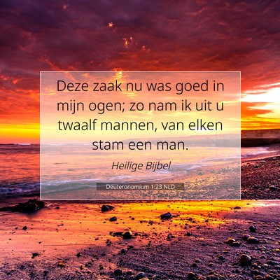 Picture 07 - Deuteronomium 1:23 NLD - Deze zaak nu was goed in mijn ogen; zo nam ik uit - Bible Verse Picture