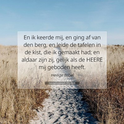 Picture 07 - Deuteronomium 10:5 NLD - En ik keerde mij, en ging af van den berg, en - Bible Verse Picture
