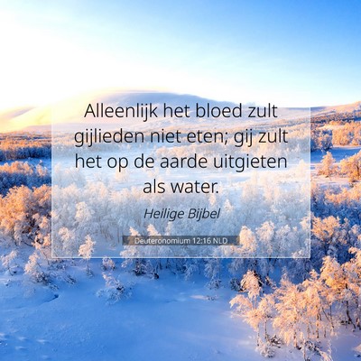 Picture 07 - Deuteronomium 12:16 NLD - Alleenlijk het bloed zult gijlieden niet eten; - Bible Verse Picture