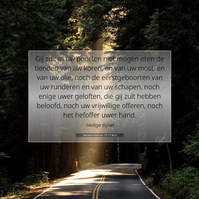 Picture 07 - Deuteronomium 12:17 NLD - Gij zult in uw poorten niet mogen eten de tienden - Bible Verse Picture