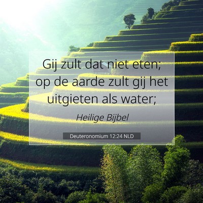 Picture 07 - Deuteronomium 12:24 NLD - Gij zult dat niet eten; op de aarde zult gij het - Bible Verse Picture