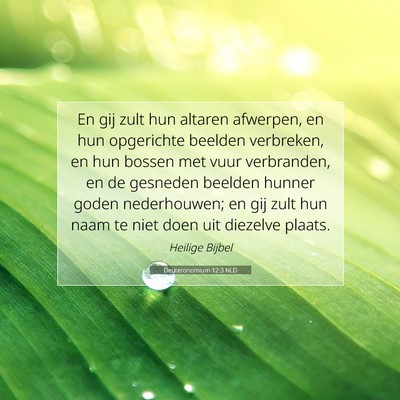 Picture 07 - Deuteronomium 12:3 NLD - En gij zult hun altaren afwerpen, en hun - Bible Verse Picture
