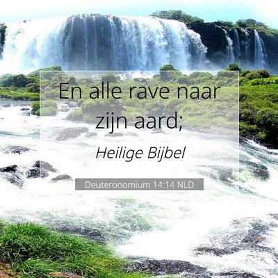 Picture 07 - Deuteronomium 14:14 NLD - En alle rave naar zijn - Bible Verse Picture