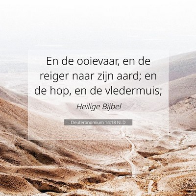 Picture 07 - Deuteronomium 14:18 NLD - En de ooievaar, en de reiger naar zijn aard; en - Bible Verse Picture