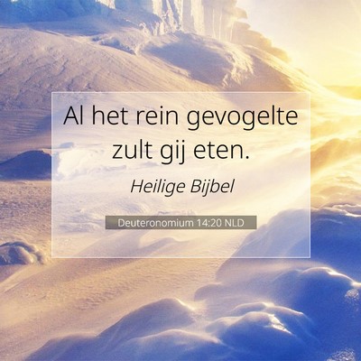 Picture 07 - Deuteronomium 14:20 NLD - Al het rein gevogelte zult gij - Bible Verse Picture