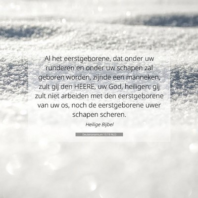 Picture 07 - Deuteronomium 15:19 NLD - Al het eerstgeborene, dat onder uw runderen en - Bible Verse Picture