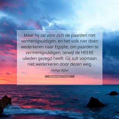 Picture 07 - Deuteronomium 17:16 NLD - Maar hij zal voor zich de paarden niet - Bible Verse Picture