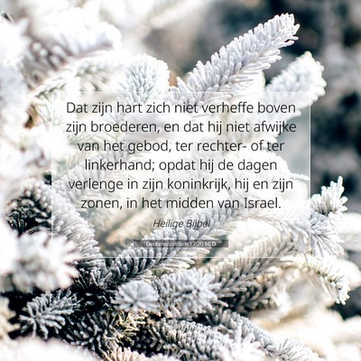 Picture 07 - Deuteronomium 17:20 NLD - Dat zijn hart zich niet verheffe boven zijn - Bible Verse Picture